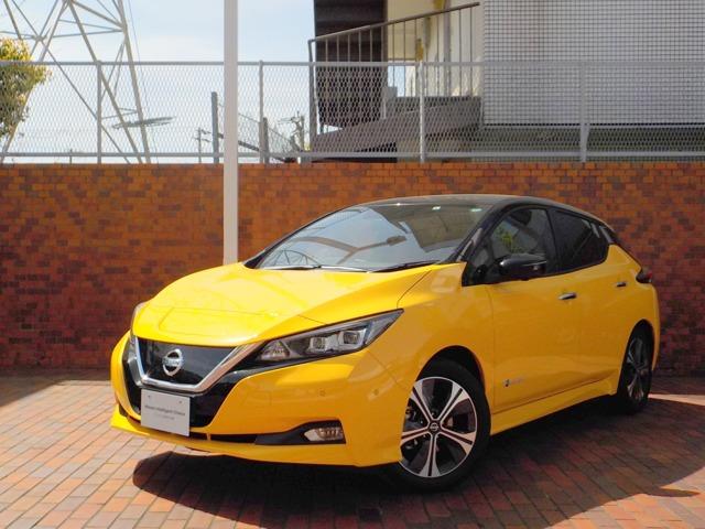 リーフ ｇ 日産 評価書付 中古 車 バイク 中古 ｇ 日産 自動車車体 新車 中古車 グーネットモール 電気自動車 評価書付