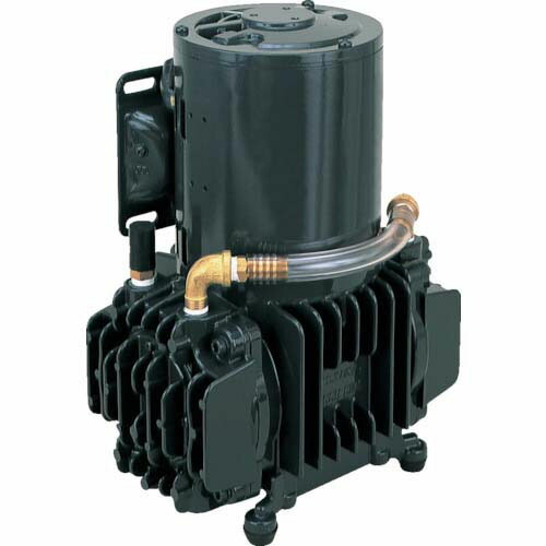 アルうしろ側 単相100V ダイアフラム型素っ気ない無意味さ揚水機 排気ガス機敏さ50／55 デジタルオーディオテープ-50D