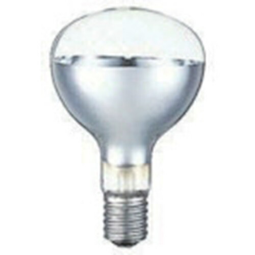 楽天市場】白熱電球 リフレクターランプ 110V500W 口金E39 白熱球 高儀