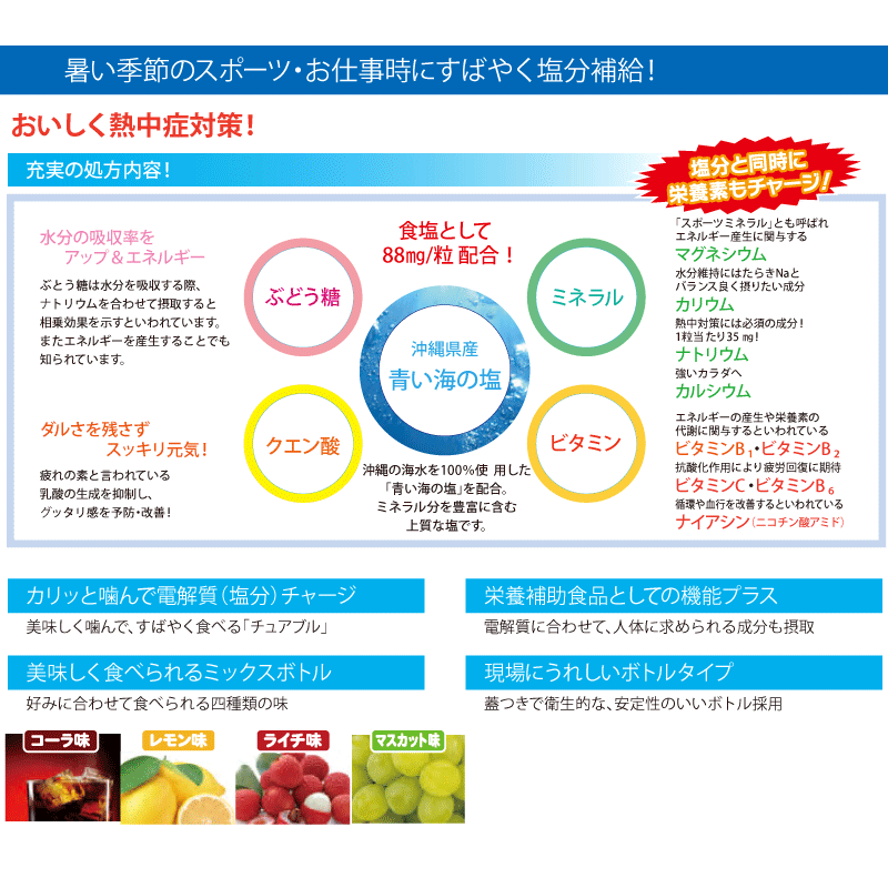 意気組症策 カムカム熱中錠big N16 06 500粒滑りだし 塩補遺 疲れ戻り タブレット 瓶 大きい能力 昭和コンパ 作り手インベントリ突き止める お取り寄せ雅 Cannes Encheres Com