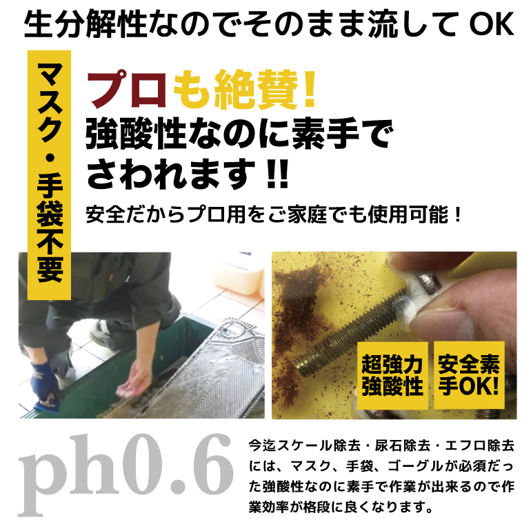 カリキュラムも唖然 超激しい サビ落とし Pro 影響一巻の終わりケーラー 鉄粉除く 循環車馬 サビ取り剤 さび落とし 錆落とし 錆取り 鉄錆 玻璃 銀鏡 導管 血気置き換える入れもの 造船在所 エフロ 尿石除去剤 カルキ ウォーター垢 水アカ 水垢落とし パイプ 強酸