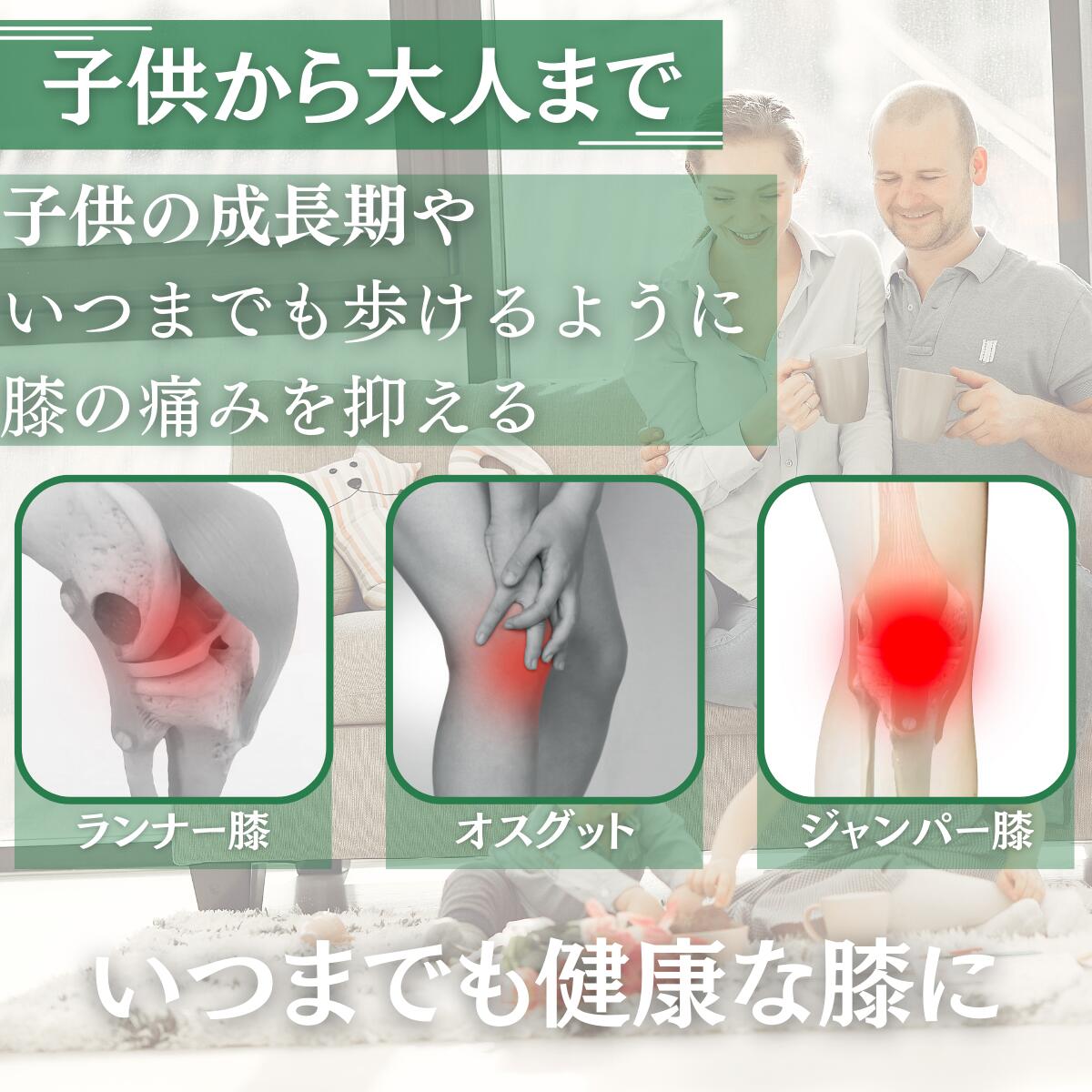 【楽天市場】Prv 公式 【 膝サポーター プロスポーツ モデル 】 S/M/L サイズ 人工筋肉 膝固定 スリーブサポート 男女兼用 膝