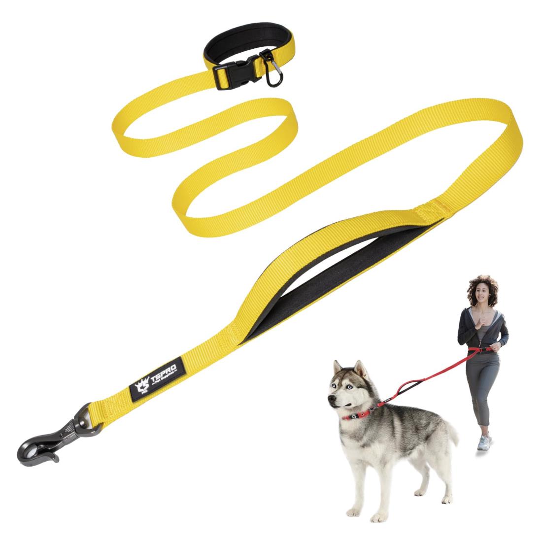 【原価ぶっ壊し割引】犬用リーシュ トリオンフ キャンバス 楽天市場】Chaoos 大型犬 リード 犬 リード 伸縮 犬リード小型犬