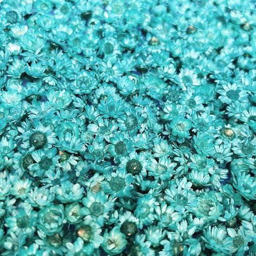 No.1081★ハンドメイド★マトリカリア★フラワーレジンネックレス 楽天市場】ネックレス ペンダント ドライフラワー 花 フラワー