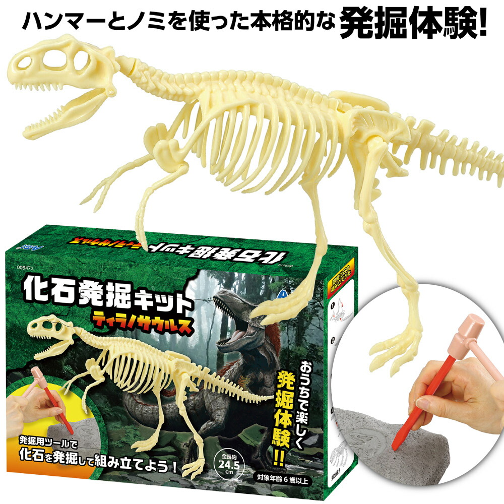 楽天市場】化石 発掘キット 恐竜 遺跡 兵馬俑 宝石 化石 発掘 夏休み
