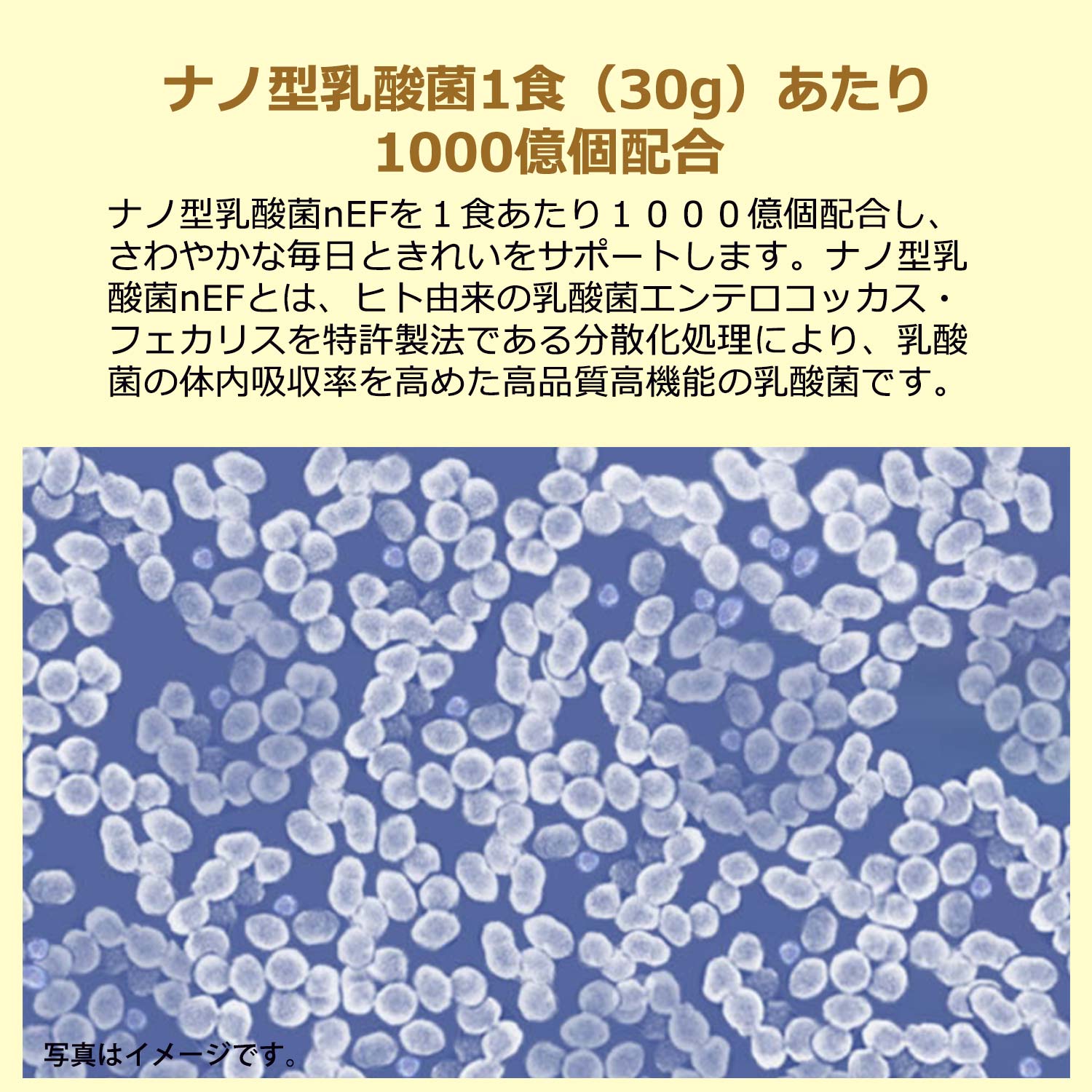 めっちゃ 美味しい 人工甘味料不使用 ソイ ミネラル ダイエット kirameki 配合 ビタミン 乳酸菌 プロテイン 大豆 無添加