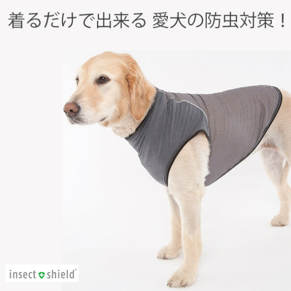 楽天市場 インセクトシールド 犬用虫よけtシャツ ドッグウェア Insect Shield 虫よけ 虫除け ペット お散歩 犬 着まわしfitnessのpsps