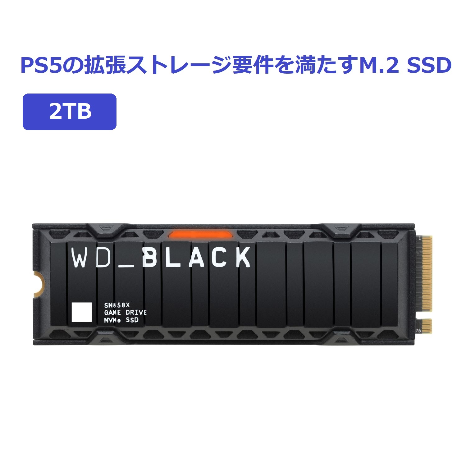 楽天市場】Crucial(クルーシャル) P3 2TB 3D NAND NVMe PCIe3.0 M.2