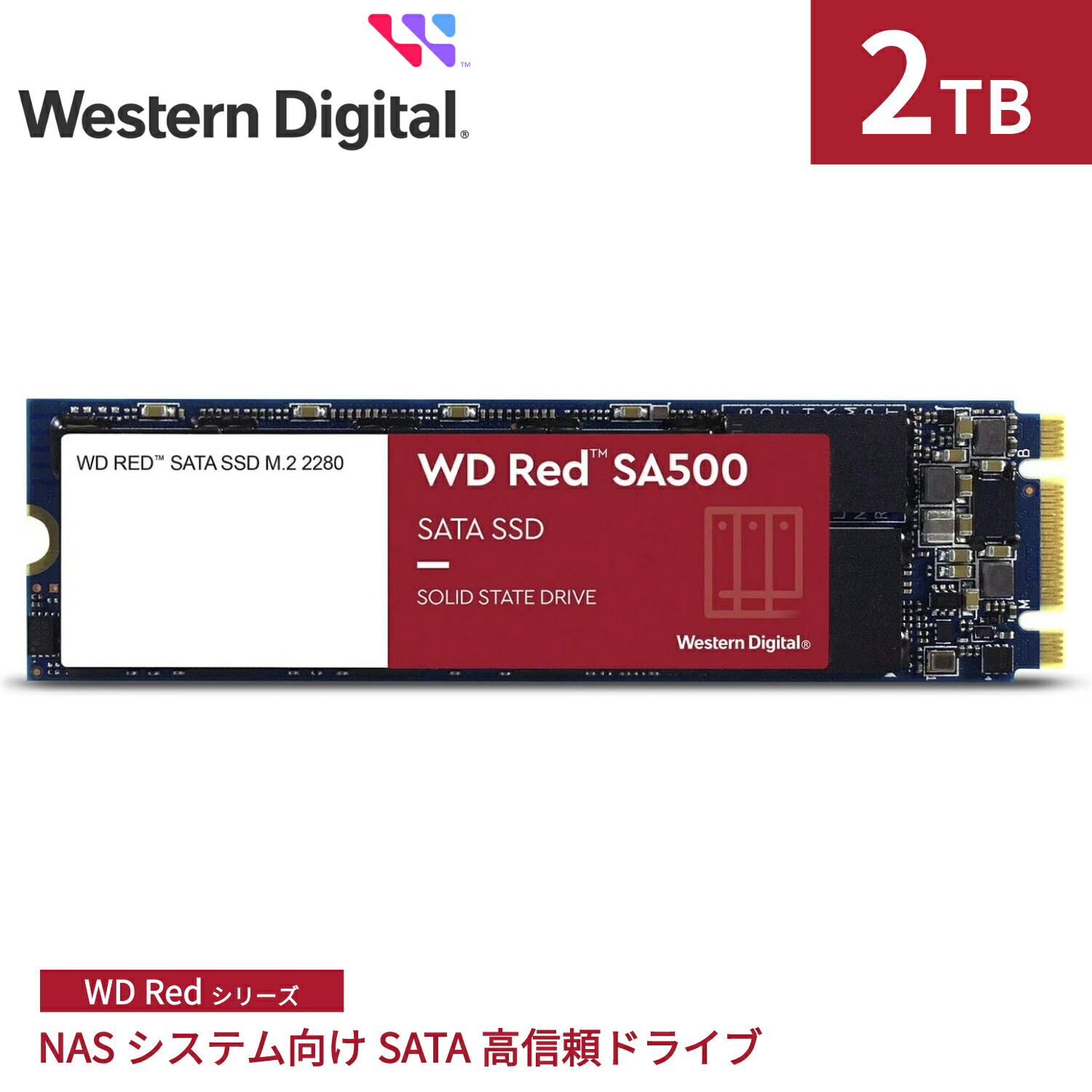 【楽天市場】【P10倍 11/4 20:00~11/11 1:59】 Western Digital ウエスタンデジタル 内蔵SSD 1TB WD  Red SA500 NAS向け 高耐久 M.2-2280 SATA WDS100T1R0B |省電力 デスクトップPC ノートPC NAS 増設  7mm 長寿命 長期保証 増設 高速 PCパーツ ...