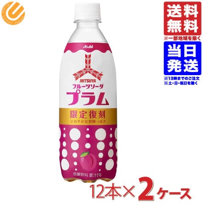 アサヒ飲料 三ツ矢 フルーツソーダプラム 500ml 24本 2ケース 三ツ矢サイダー 送料無料 一部地域を除く アサヒ飲料 三ツ矢 フルーツソーダプラム 一部地域を除く 国内製造 Bankingprep Com