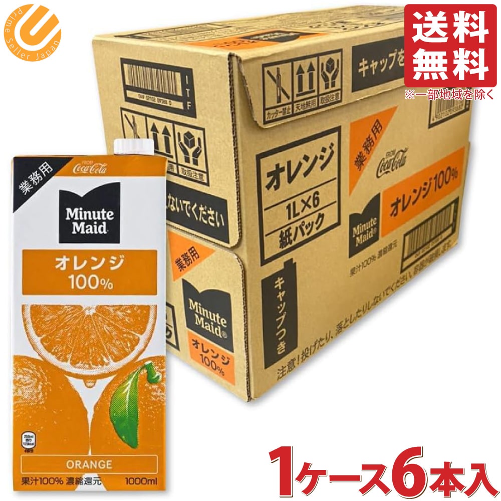 楽天市場】【訳あり】【12本】 ミニッツメイド アップル 100