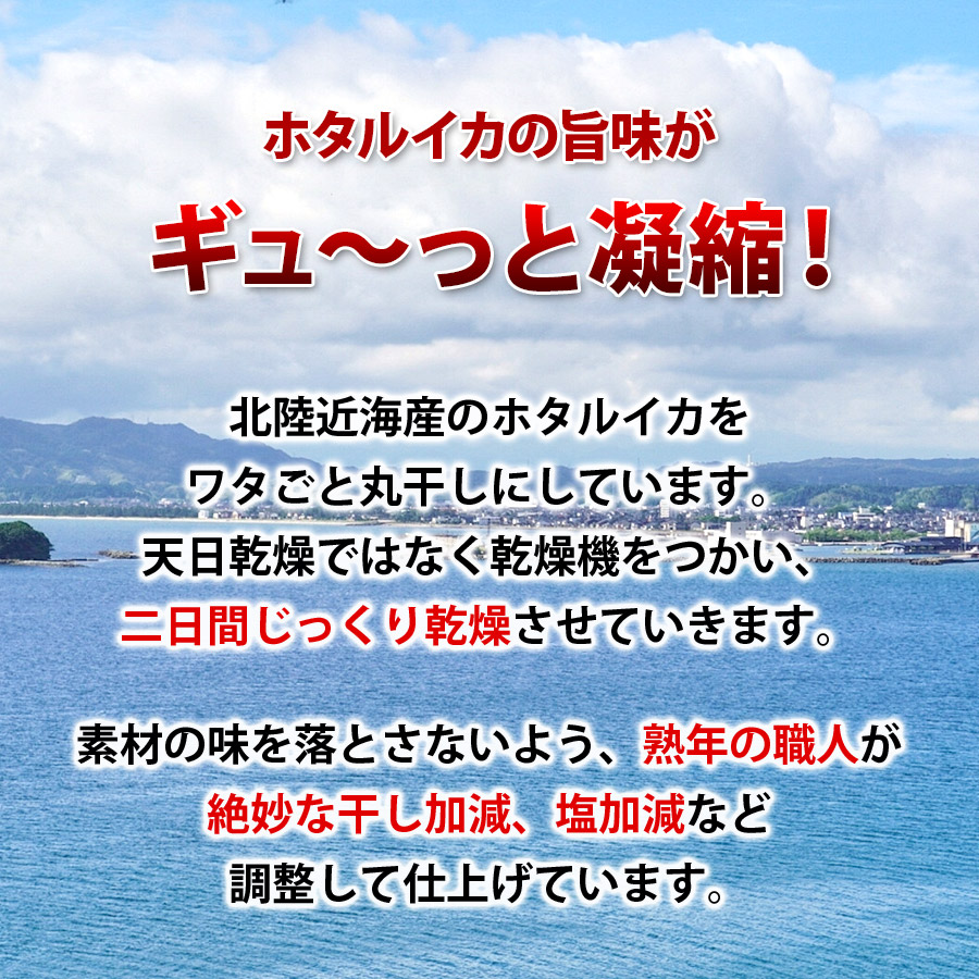 楽天市場 ほたるいか 姿干 素干し 大容量 80g 北陸近海産 1000円ポッキリ 送料無料 無添加 ホタルイカ お取り寄せグルメ お土産 メール便 定形外 売れ筋 当店オススメ Primesellerjapan 楽天市場店