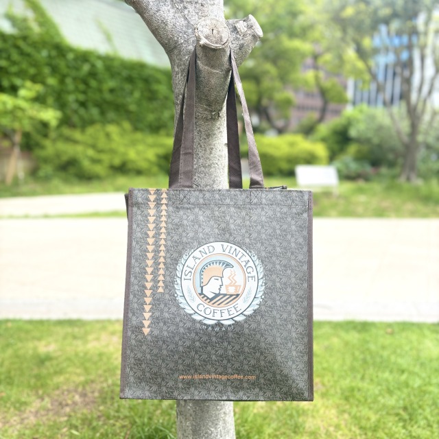 楽天市場】【8000円以上で送料無料！】シグゼーン ハワイで