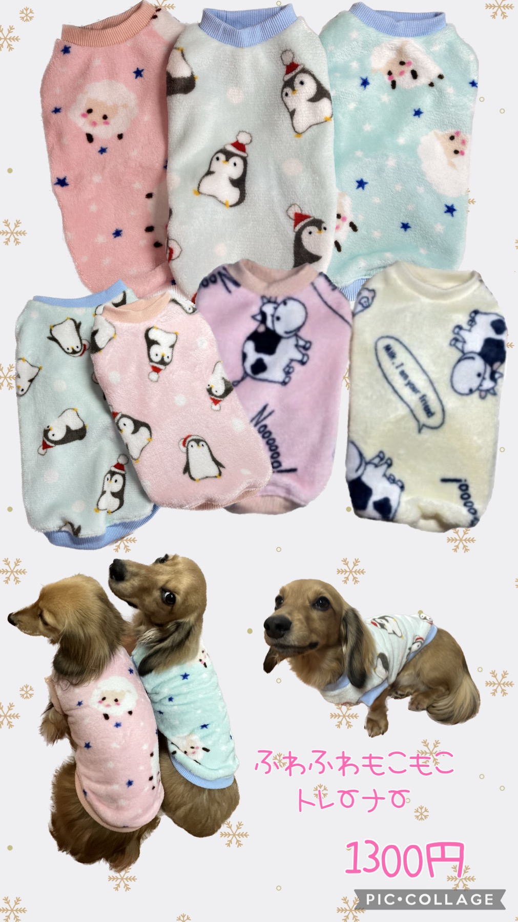 楽天市場】セーラートリオトレーナーわんちゃんお名前入れます 人気の