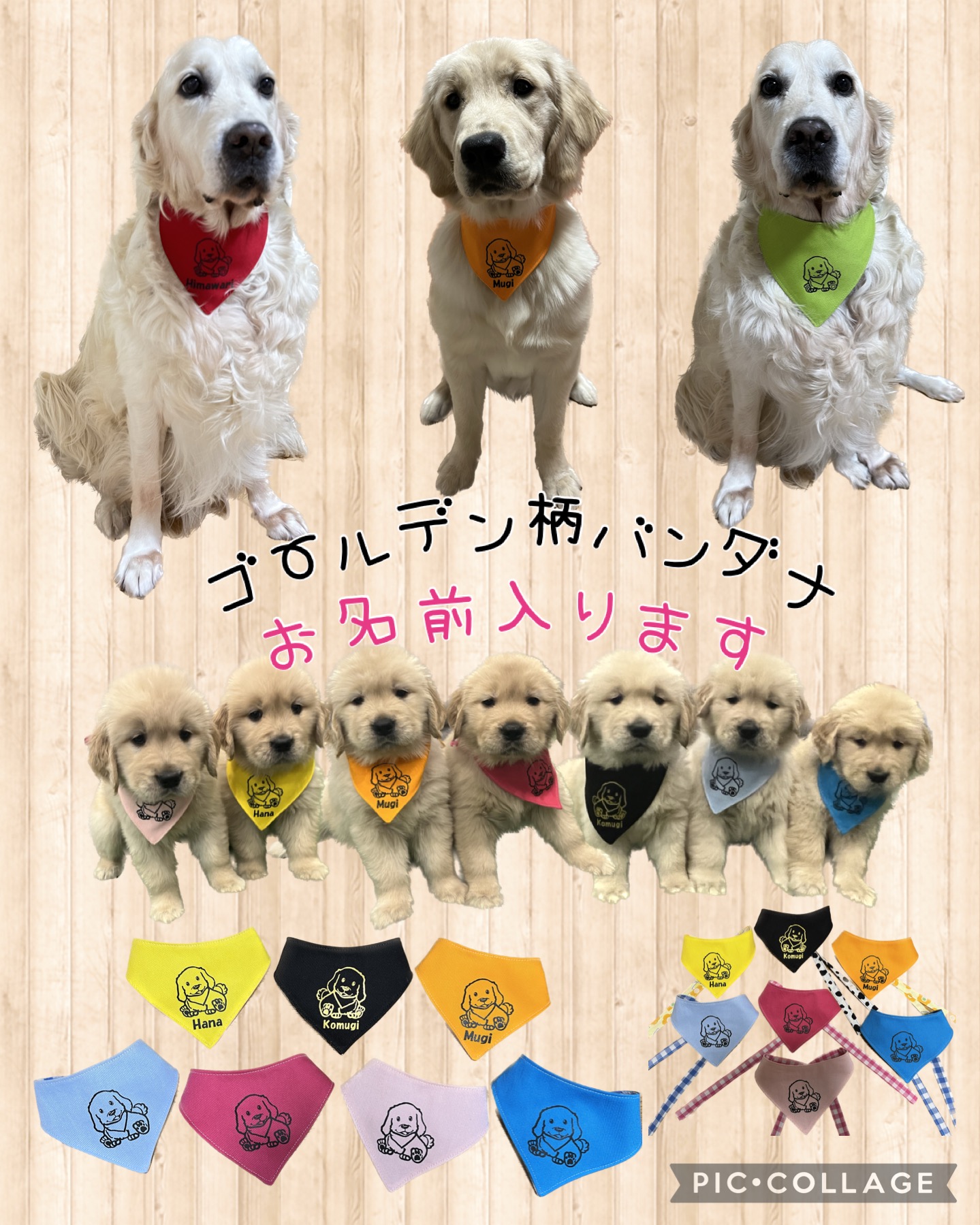 楽天市場】ネコポスOK 犬 バンダナ スカーフ 犬用 ドッグ ドッグ