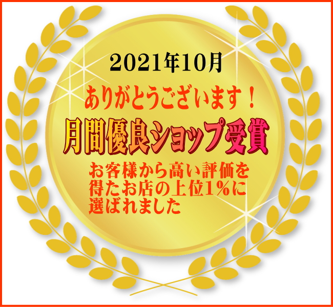 タヌキ型 お子様用 変形 cm ケーキ皿 おすすめ 洋食器 取り皿 おしゃれ 人気 平皿 モダン 日本製 デザートプレート ケーキプレート レンジ可 可愛い 食器 だ円 カワイイ 美濃焼 センチ 陶器 食洗機対応 かわいい 中皿 オシャレ デザート皿 安い 楕円 焼き物 プレート