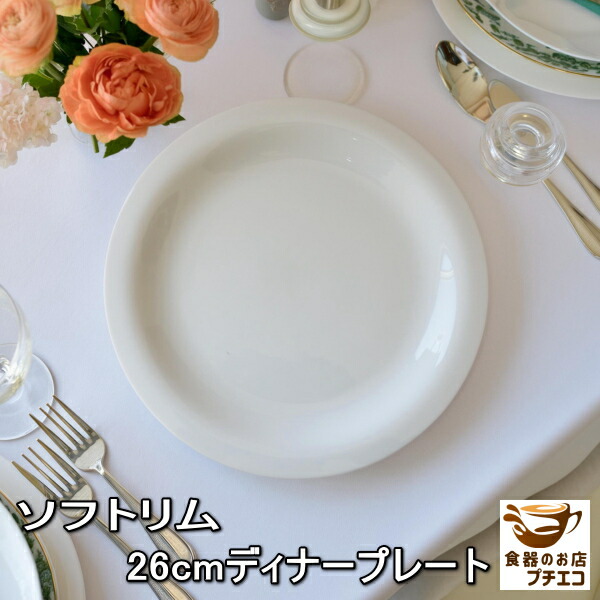楽天市場】送料無料 26cm ソフト リム ディナープレート 5枚 セット