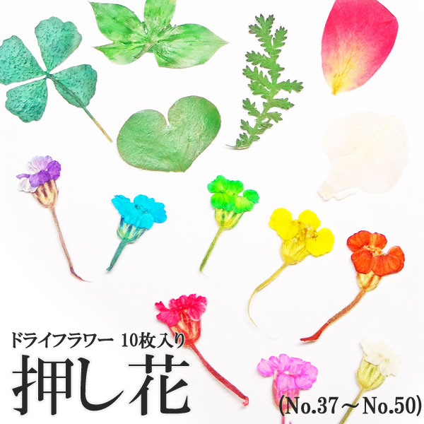 押し花用　PANPASTEL27色29個 10002000b2.jpg