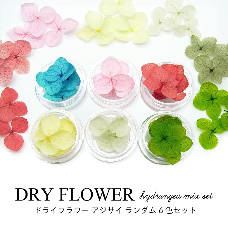 あちゃさま専用、ドライフラワー あちゃさま専用、ドライフラワー