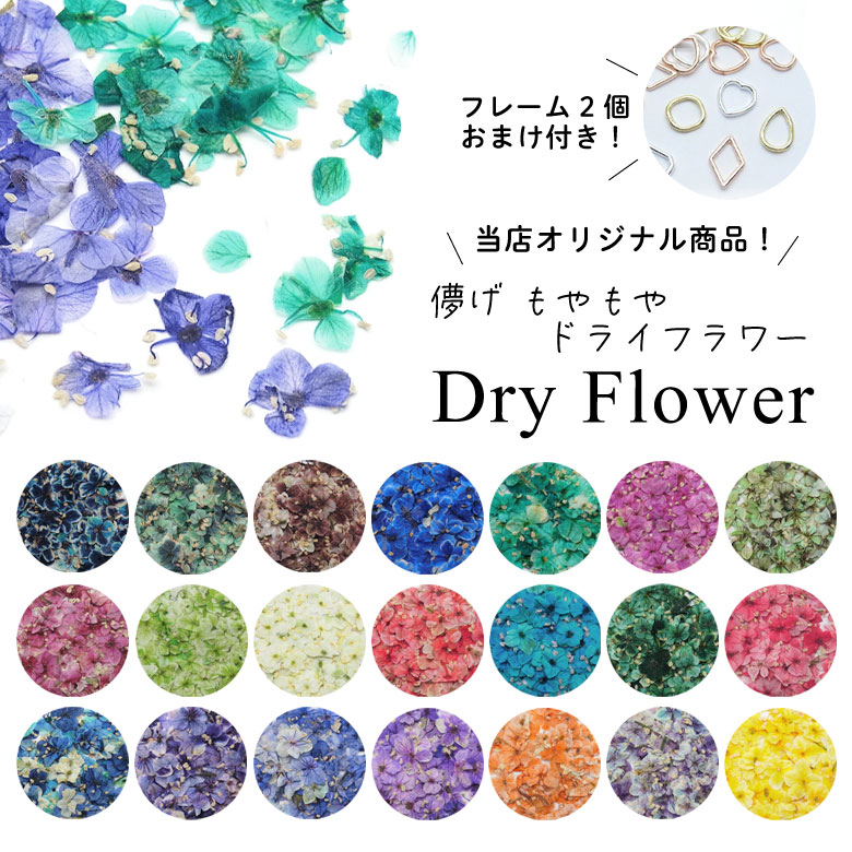 楽天市場】押し花 ドライフラワー （114-115） ケース入り 10枚入り