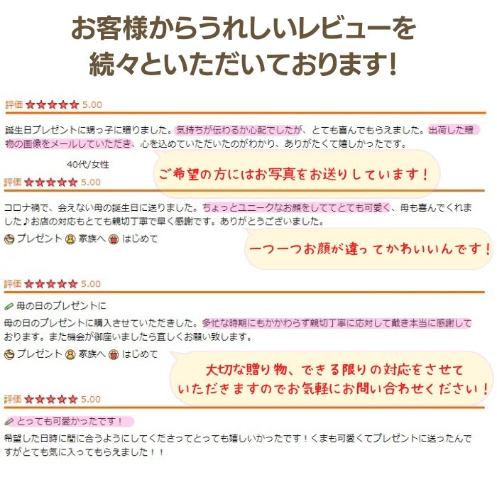 敬老の日 おすすめ くまのマックスくん 2個セット プリザーブドフラワー 花束 くま ぬいぐるみ 花 ギフト プレゼント 祝い 女性 送料無料 誕生日 記念日 結婚記念日 贈り物 お礼 ミニブーケ 発表会 花束贈呈 アレンジ 母 女友達 妻 両親 お返し インテリア