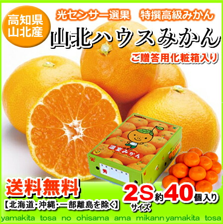 送料無料・高知産山北ハウスミカン2Sサイズ40個入りハウスみかんギフト北海道1000円・沖縄は送料1500円【オススメ】05P03Sep16