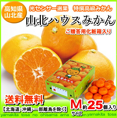 タイムセール送料無料・高知産山北ハウスミカンMサイズ25個入りギフト北海道1000円・沖縄は送料1500円05P03Sep16【オススメ】