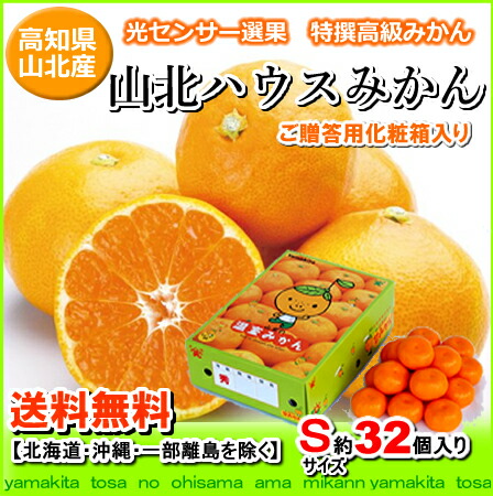 高知産山北ハウスミカンSサイズ32個入りギフト北海道1000円・沖縄は送料1500円05P03Sep16【オススメ】