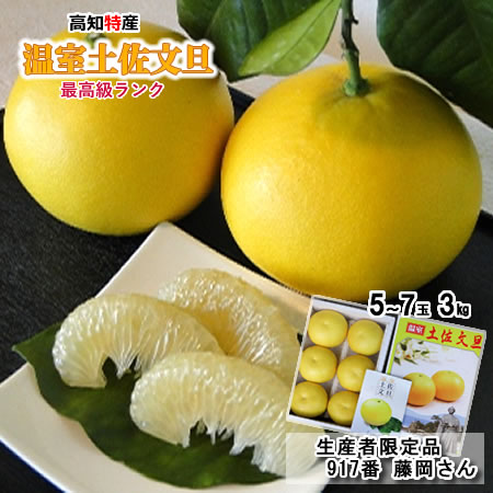 楽天市場】【送料無料】【ギフト用】高知産 温室土佐文旦 ハウス文旦