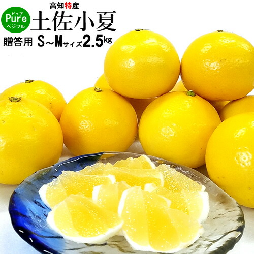 【送料無料】・高知産土佐小夏約2.5kgご贈答宿毛小夏コナツ・日向夏・ニューサマーオレンジ北海道1000・沖縄送料1500円【楽フェス_ポイント10倍】
