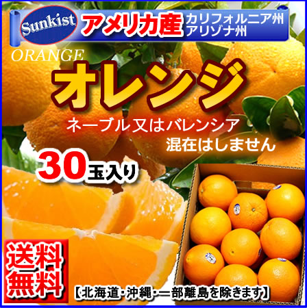 楽天市場 送料無料 アメリカ産又はオーストラリア産ネーブルオレンジ バレンシアアレンジ個入り 送料別途北海道1000円沖縄1500円 ベジタブル フルーツｐｕｒｅ