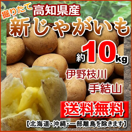 100 品質保証 4月中旬前後より発送予定 高知じゃが約10kg馬鈴薯ジャガイモ春掘り北海道沖縄は別途送料必要です