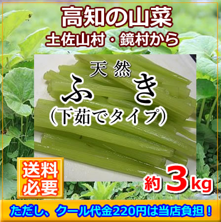 楽天市場 高知産ふき水煮3kg高知山菜ふき北海道沖縄は別途送料必要です ベジタブル フルーツｐｕｒｅ