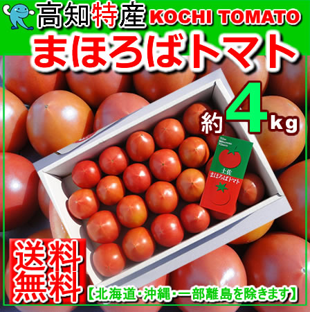【送料無料】高知産まほろばフルーツトマト約4kg北海道・沖縄送料500円トマトサミットP20Feb16