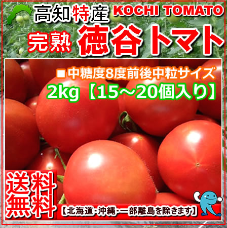 【送料無料】高知徳谷トマト約2kg中粒糖度8度前後・フルーツトマト高知トマトサミット(北海道1000円沖縄1500円送料頂きます)