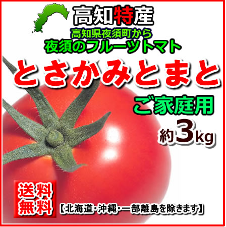 【送料無料】土佐香美産夜須フルーツトマト約3kgトマトサミット北海道・沖縄送料500円05P18Jun16