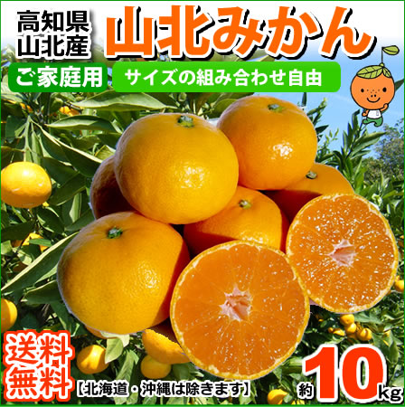 高知産山北みかん温州みかんM〜Sサイズたっぷり10kgご家庭用蜜柑北海道1000円・沖縄送料1500円【RCP】05P19Dec15