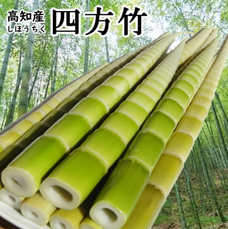 たけのこ。 imgrc0084032188.jpg