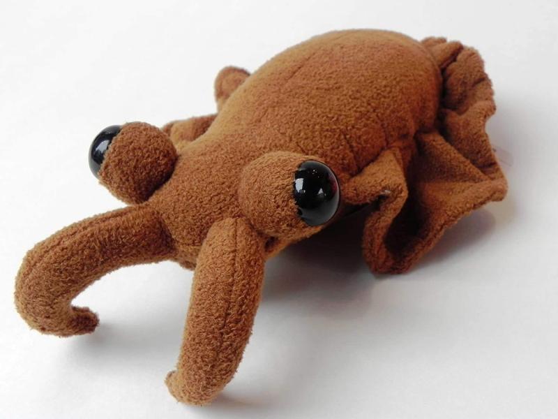 古代生物シリーズ アノマロカリス ぬいぐるみ