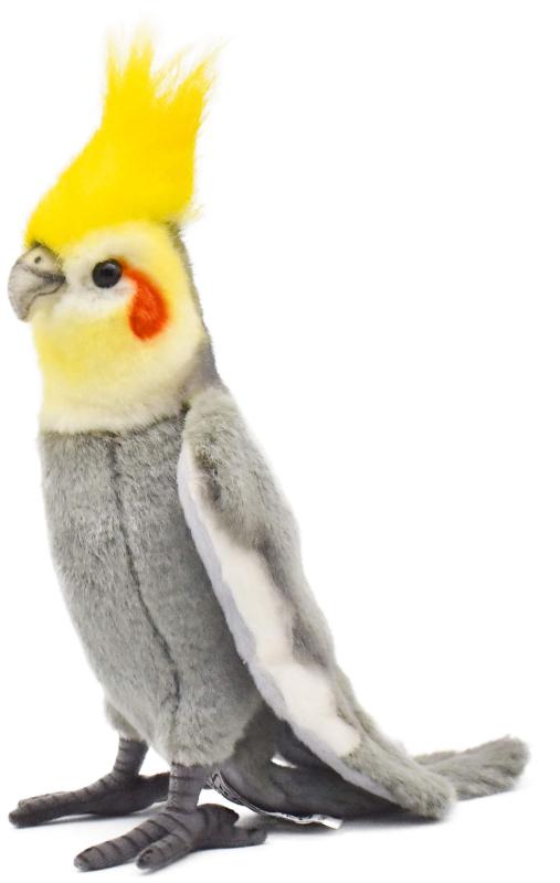 BH6470 HANSA オカメインコグレー18