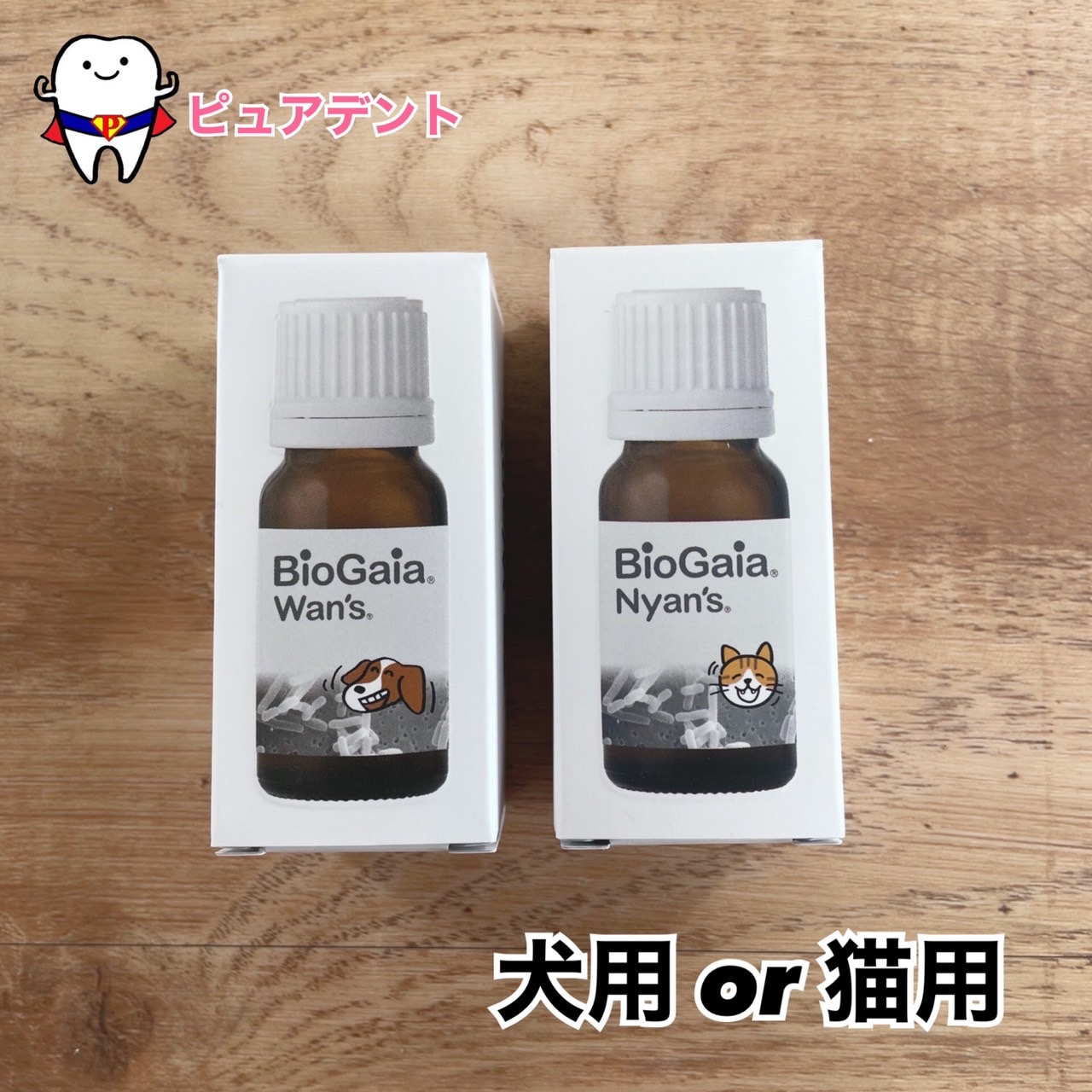 バイオガイア　Nyan's 猫用サプリメント 10ml Amazon | バイオガイア ニャンズ Nyan's 10ml（猫用・犬にも使用