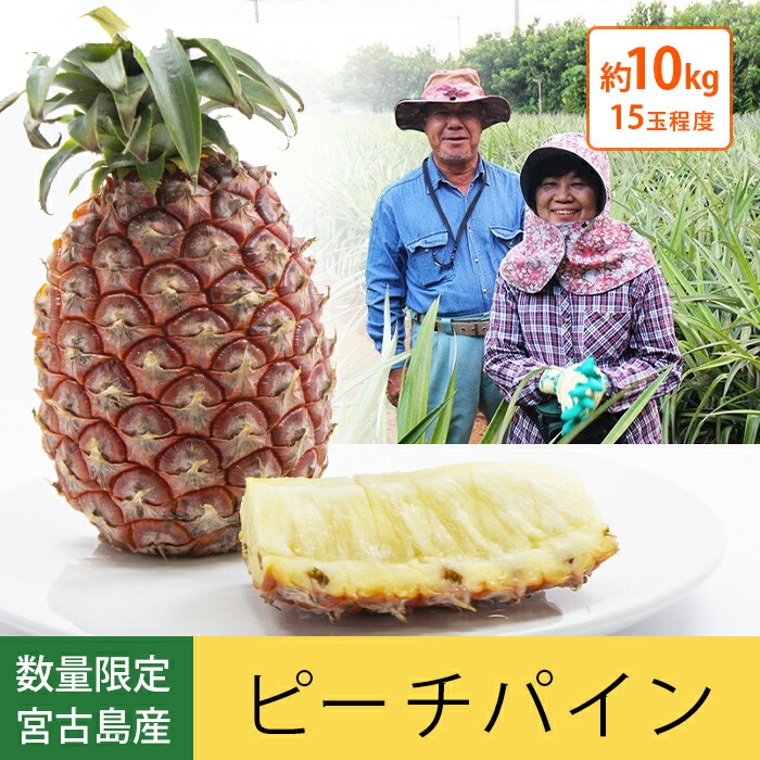 【６月中旬から順次発送】宮古島産 ピーチパイン 10kg（15玉程度）｜ 宮古島産ピーチパイン 沖縄 宮古島 ピーチパイン パイナップル ソフトタッチ 金ちゃん農園【数量限定】【全国一律送料無料】