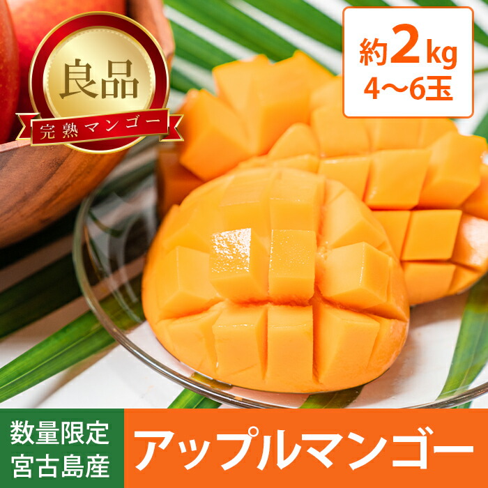 【７月上旬～順次出荷】【数量限定】宮古島産（伊良部島） 良品 マンゴー 2kg(4～6個)｜マンゴー アップルマンゴー 完熟マンゴー 高級マンゴー  沖縄 宮古島 宝来果樹園・その他　 糖度13度以上 SDGs【全国一律送料無料】
