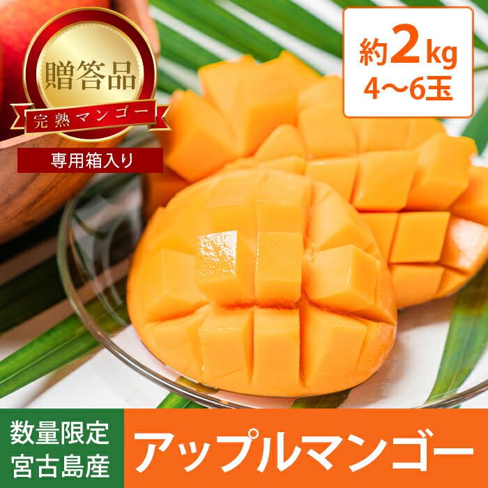 【７月上旬～順次出荷】【贈答用】【数量限定】宮古島産（伊良部島） 良品 マンゴー 2kg(4～6個) | マンゴー アップルマンゴー 完熟マンゴー 高級マンゴー  沖縄 宮古島 宝来果樹園・その他 農家直送 SDGs【全国一律送料無料】