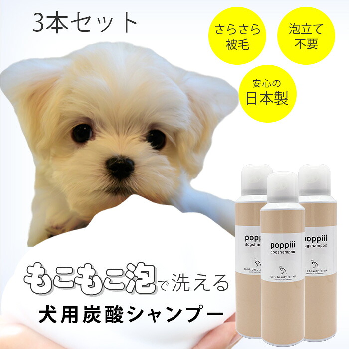 犬用炭酸泡シャンプー ３本セット sparkbeauty ローズ 耳ピュア犬 子犬風呂 ピュアヒーリング 犬 泡シャンプー香り 炭酸シャンプー 毎日 犬シャンプー 低刺激犬のシャンプー かゆみ ペット 泡シャンプー 炭酸泡シャンプー ただれ