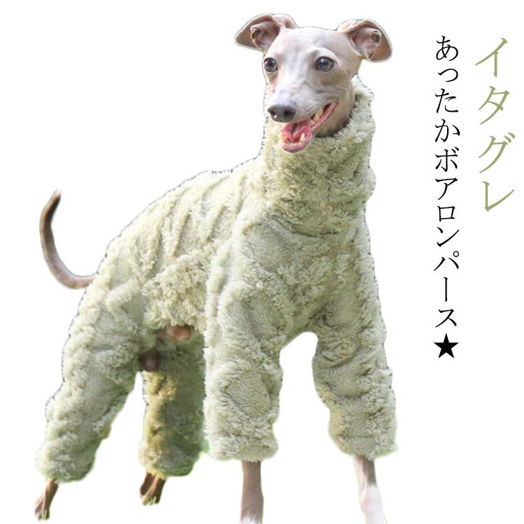 楽天市場】イタグレ 服 L イタリアン オールインワン 2XL ウィペット