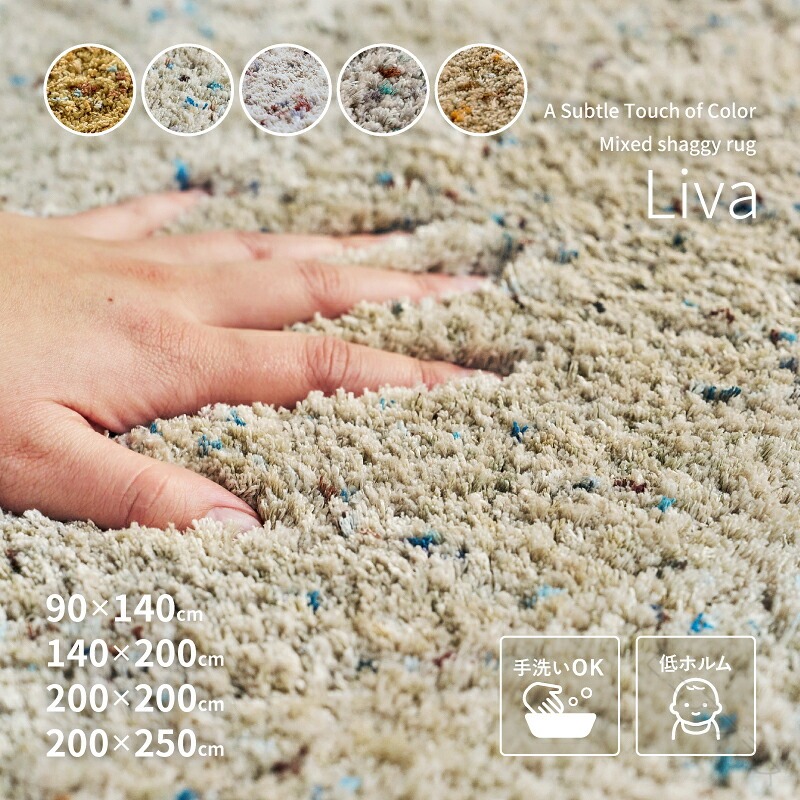 雑ぜ合わせる シャギーラグ 洗える 上滑り打ちきり付き添い人 ふかふか リーヴァ 引っ敷き 引っ敷き 今めかしい オール時期 萩原 約90×140珊 約140×200珊 約200×200珊 約200×250珊 シャギー 引っ敷き 床材 室内用