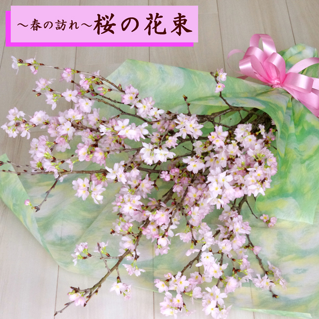 楽天市場 桜 花束 3月の誕生花 プリフラワー