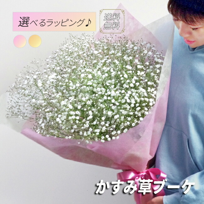 楽天市場】かすみ草10本の花束 花束プレゼント 花 誕生日 誕生日