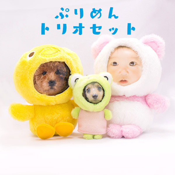 【ぷりめん】トリオセットレギュラーサイズ&times;２個、ストラップサイズ１個赤ちゃん 写真入り キーホルダー ぬいぐるみ オリジナル 父の日 誕生日 プレゼント 祖母 祖父 子供 １歳 ペット 家族 記念 出産祝い 男の子 女の子